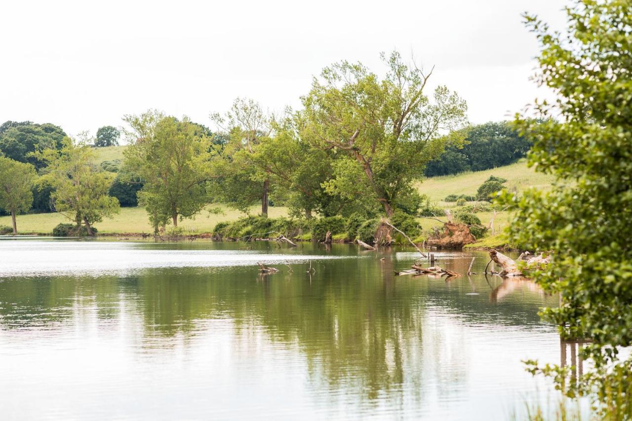Agriturismo Lago Di Mezzano Valentano エクステリア 写真