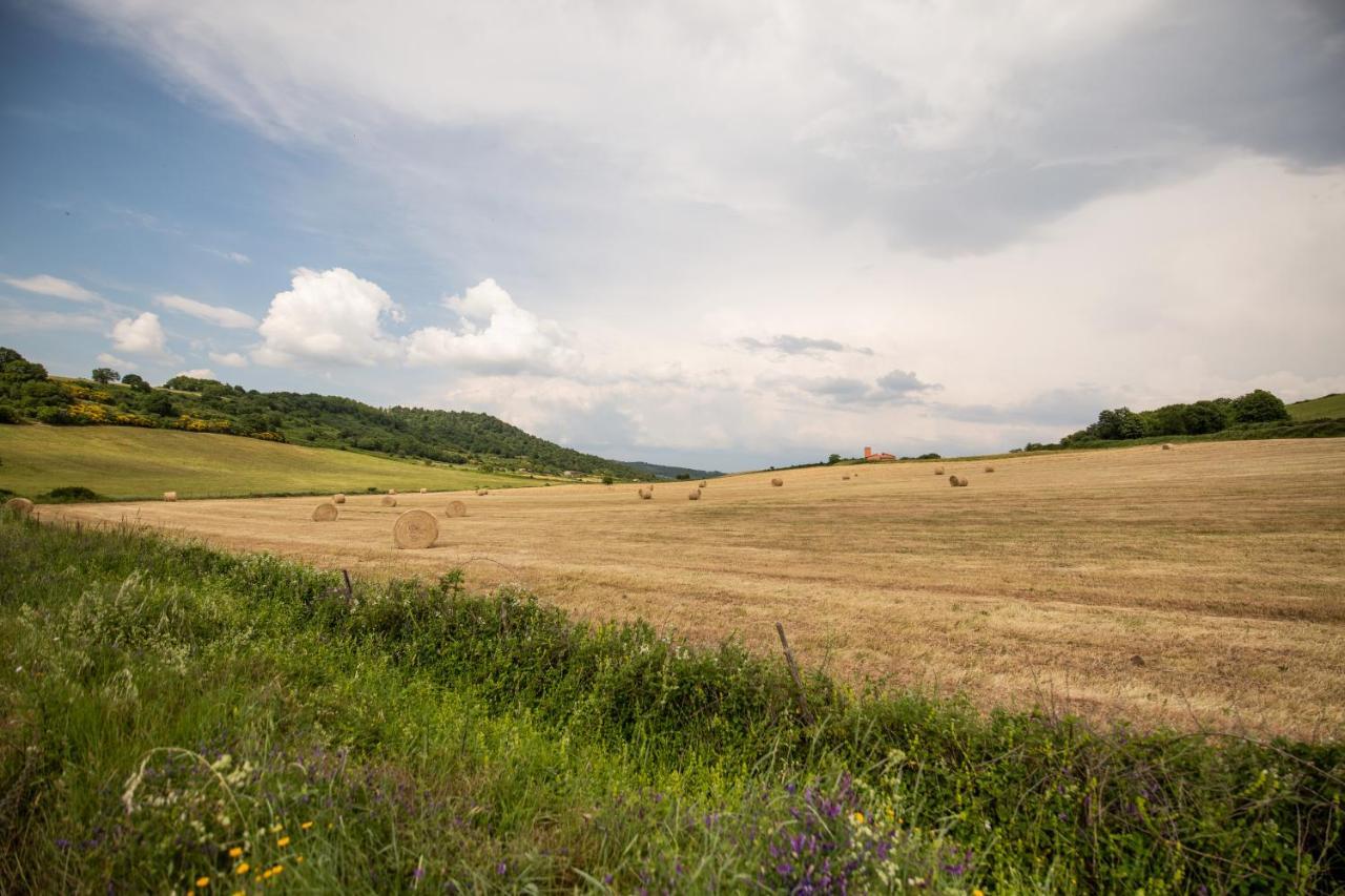 Agriturismo Lago Di Mezzano Valentano エクステリア 写真