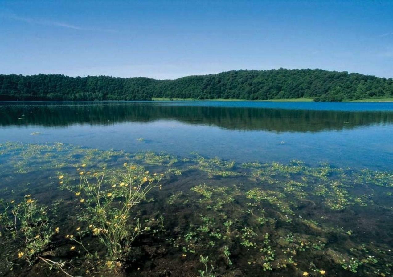Agriturismo Lago Di Mezzano Valentano エクステリア 写真